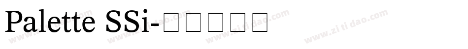 Palette SSi字体转换